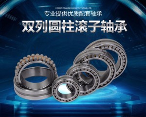 雙(shuāng)列圓(yuán)柱滾子軸(zhóu)承 nnu4964、nnu4964k、w33、p5、p4 舊型号d4482964、c4482964