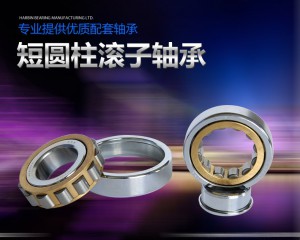 向心短圓(yuán)柱滾子(zǐ)軸(zhóu)承【單(dān)列】n2344m、nu2344m、nj2344m、 舊型(xíng)号(hào) 2644h、32644h、42644h、